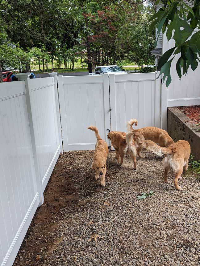 Remarkable Fence - Vinyl Fencing, Pet Friendly